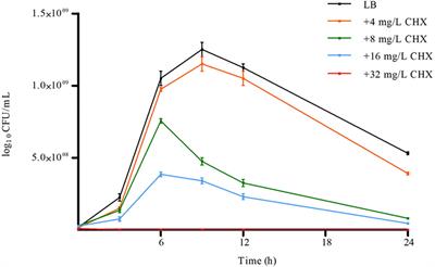 Inhibition of AdeB, AceI, and AmvA Efflux Pumps Restores Chlorhexidine and Benzalkonium Susceptibility in Acinetobacter baumannii ATCC 19606